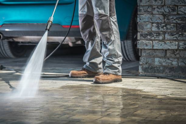 Best Soft Washing  in Orange Park, FL